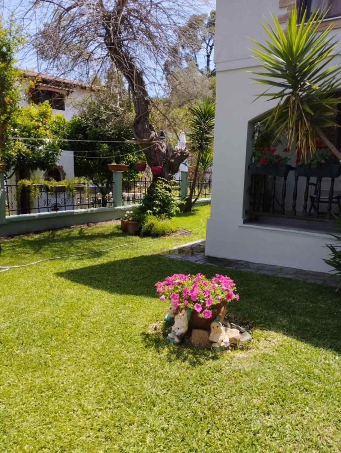 Dimitris -villa 5 *
